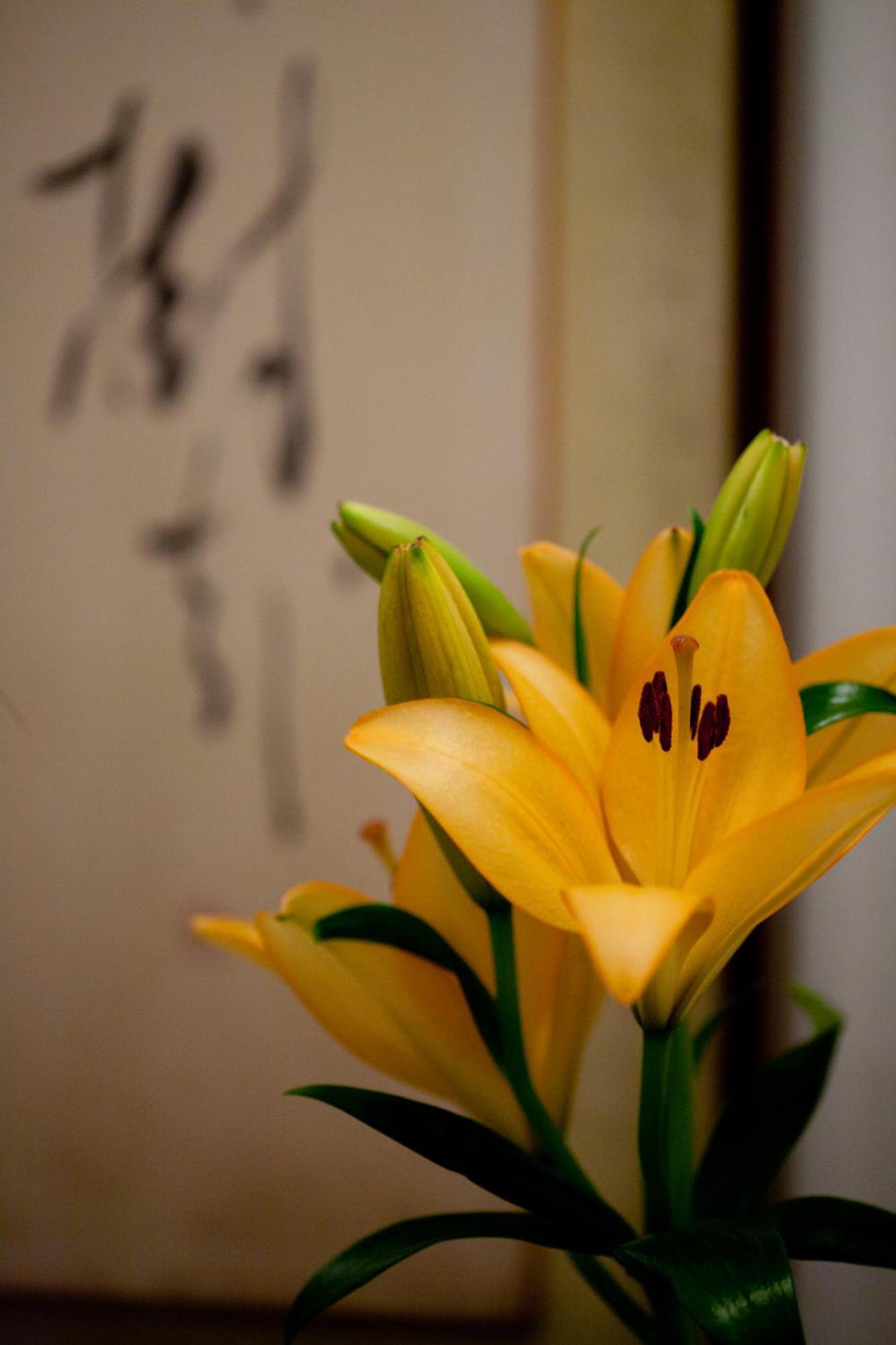 Kimi Ryokan Tokyo Eksteriør bilde